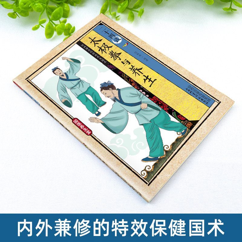 24 Stili di Tai Chi ed Eserciz - Health & Wellness Programs recensione e prezzo